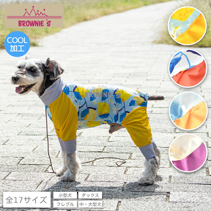 アミンアバスト 中・大型犬用規格（1,000mg）60カプセル 2個セット