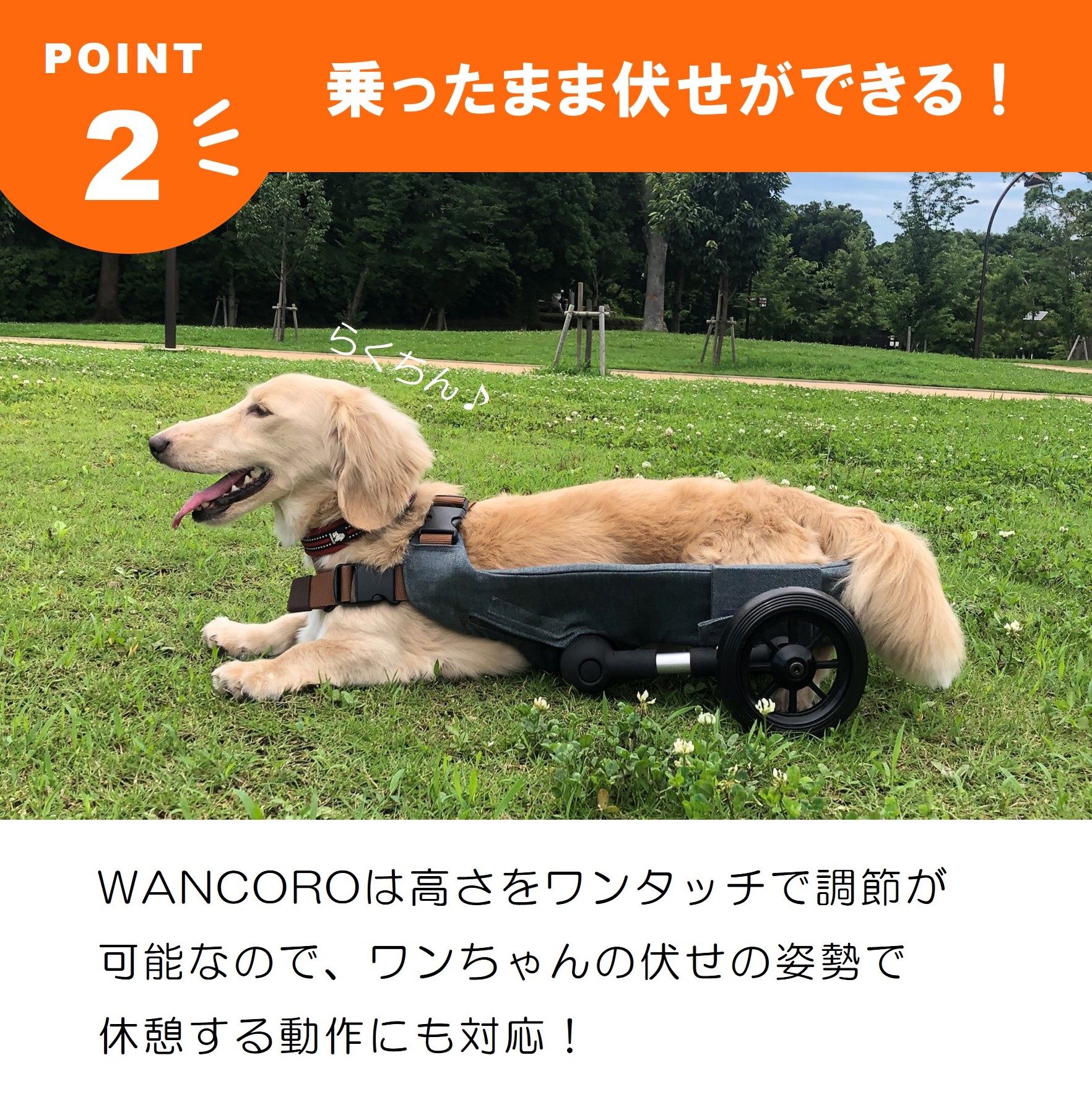 楽天市場】小型犬用 犬用車いす 犬用車椅子 WANCORO リハビリ 老犬介護
