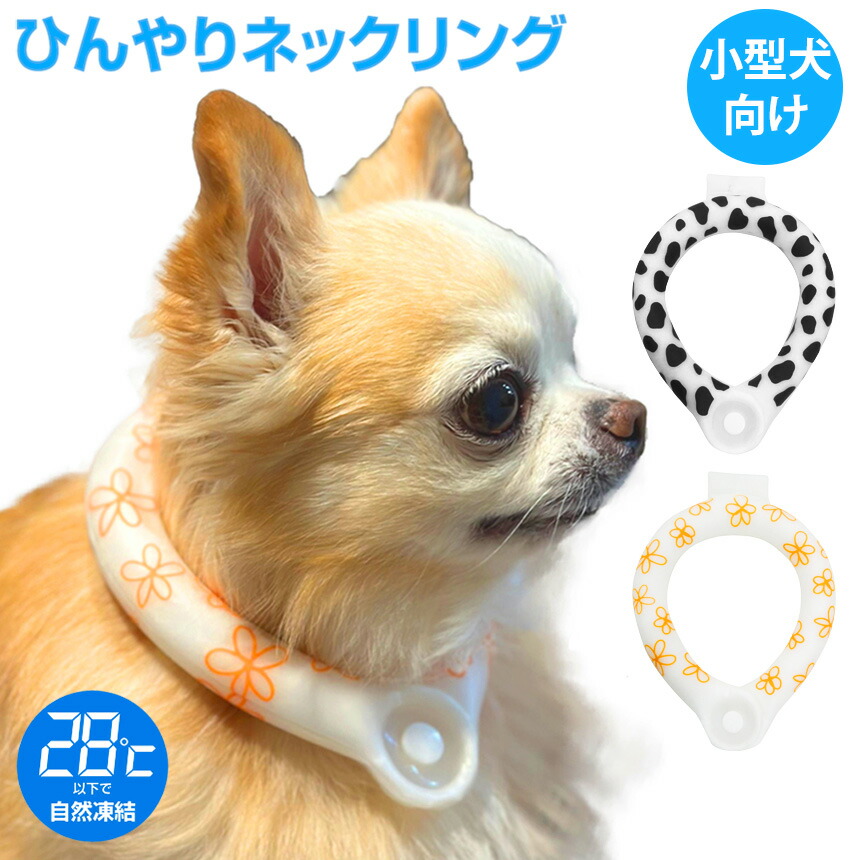 楽天市場】【送料無料 ポイント5倍】小型犬向け ワンちゃん ボタン付き