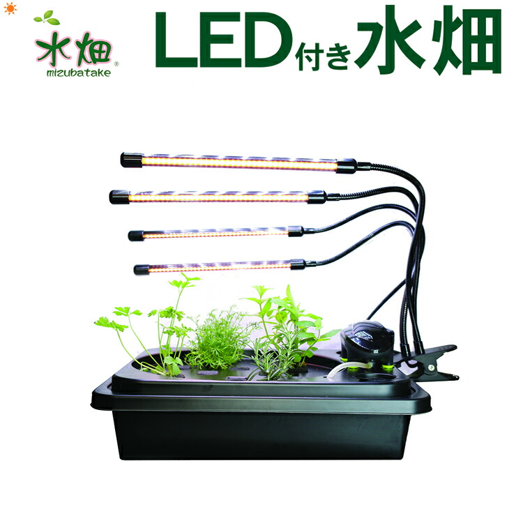 引退品 植物育成セット4点 引退品 植物育成セット4点 楽天市場】