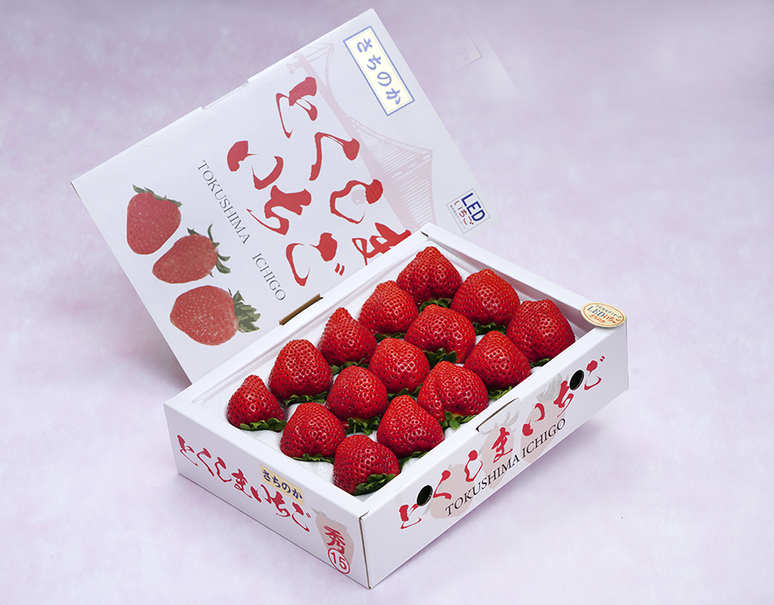 竹内農園 LEDいちご『とくしまいちご（品種 さちのか）』徳島県産 約