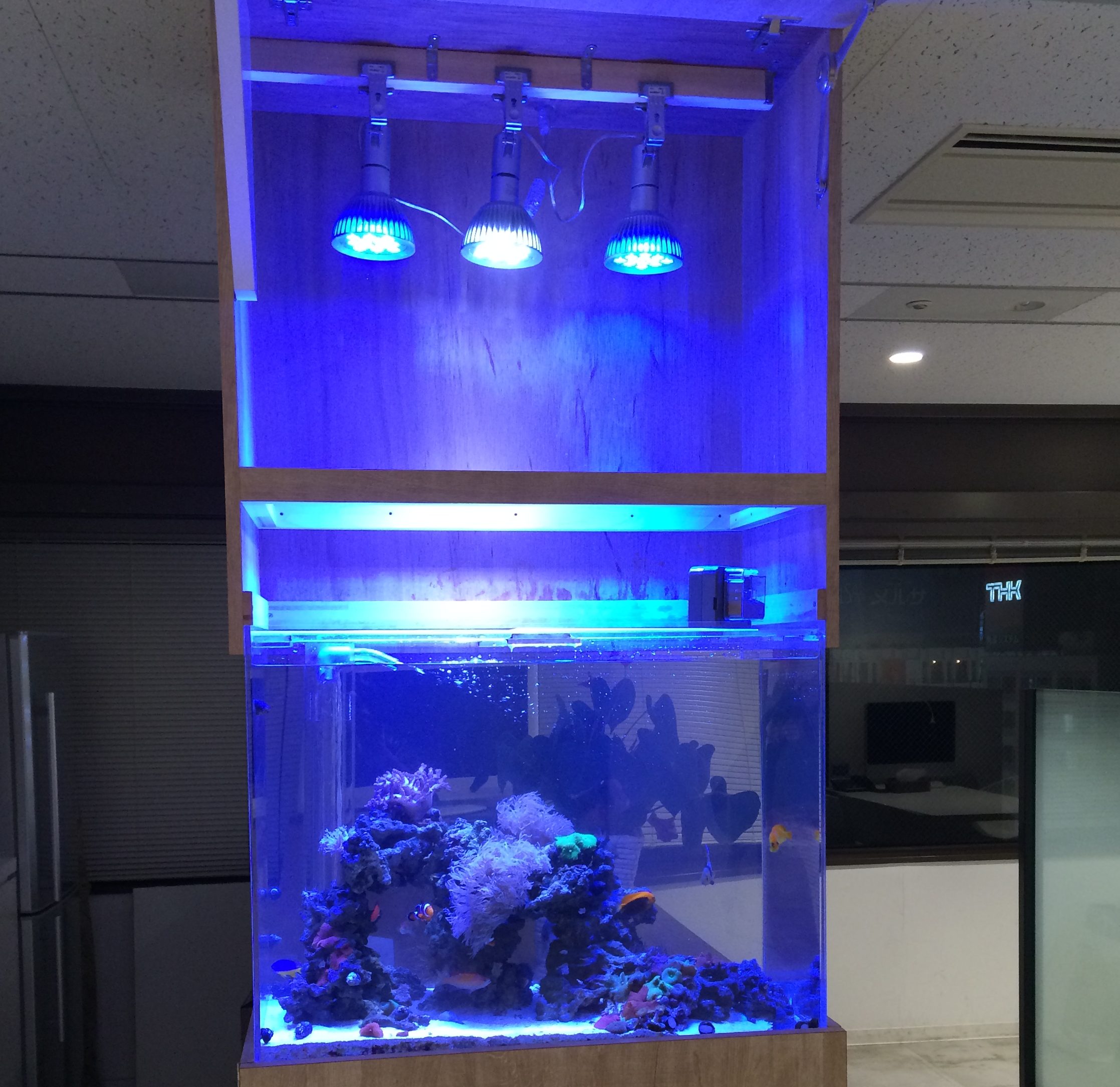 必見! 水槽用 照明 でおすすめの LEDライト｜アクアリウム情報メディア