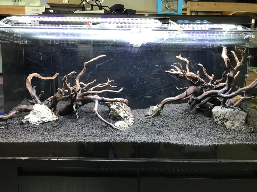 120センチ水槽でネイチャーアクアリウムを作ってみました