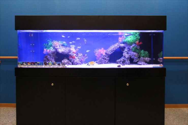 プレコ 60cm水槽台 ウッディ 【公式通販】