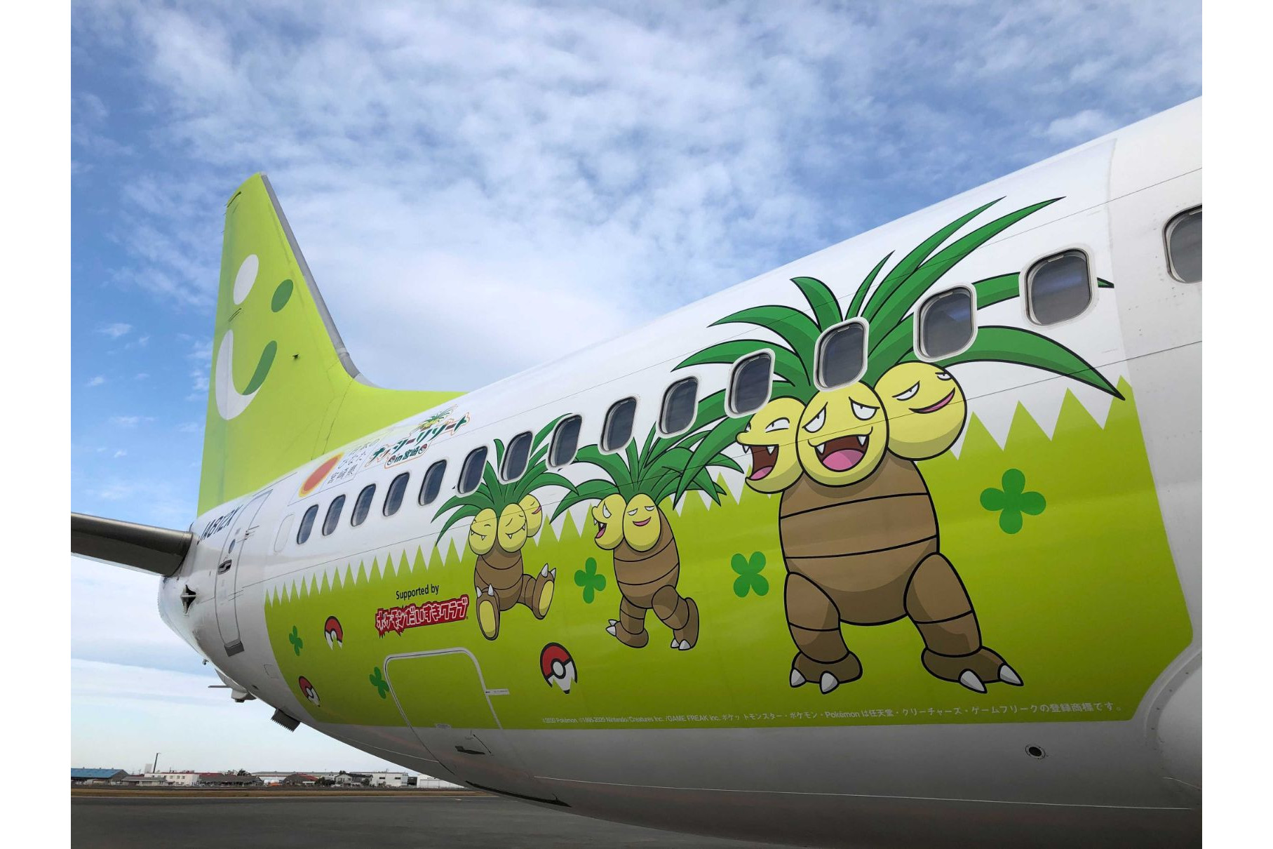 Solaseed Air B737-800 Nassi Jet エコボン Solaseed Air B737-800