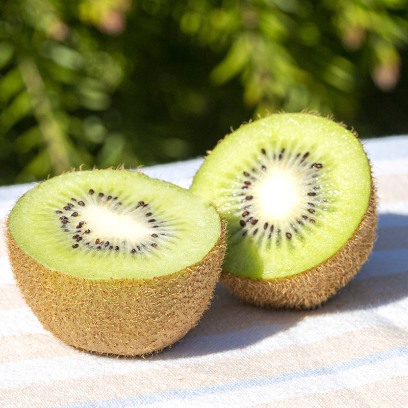 平野製作所 キウイフルーツカッター TC-Ki7 定価134,200 円 下村工業