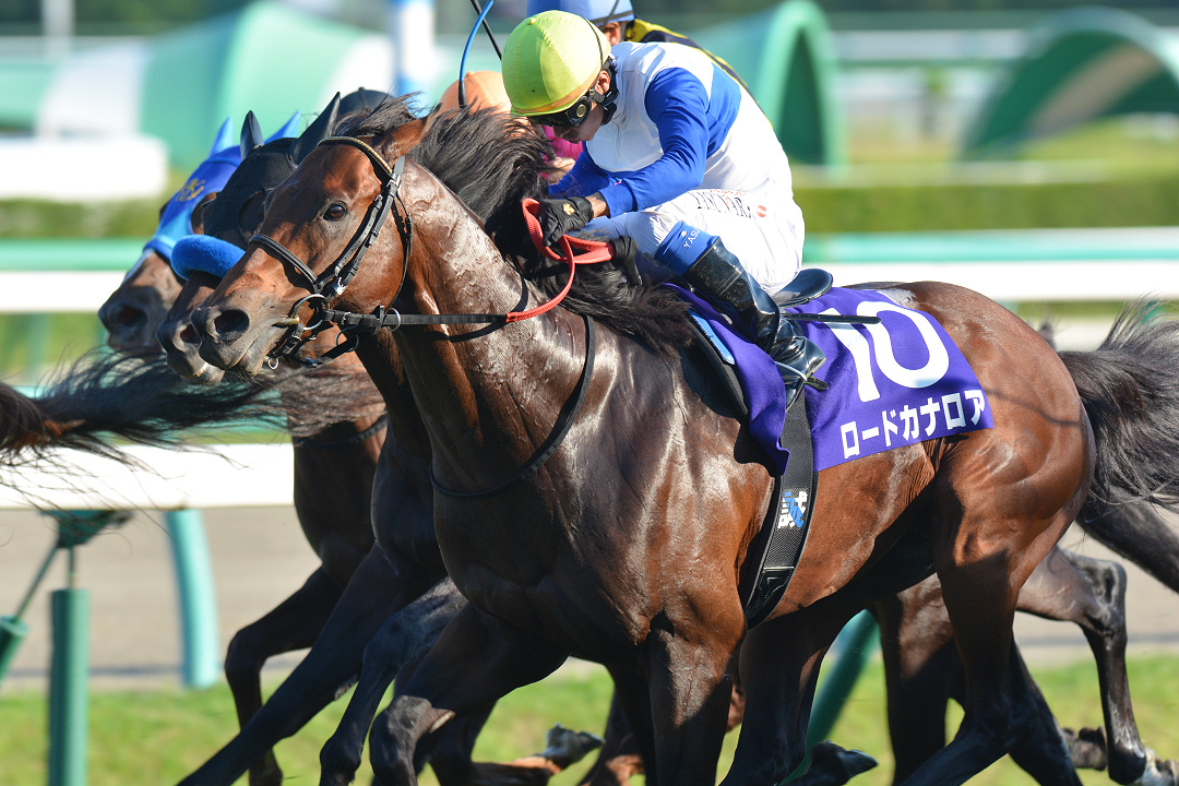 アイドルホースロードカナロアスプリンターズS