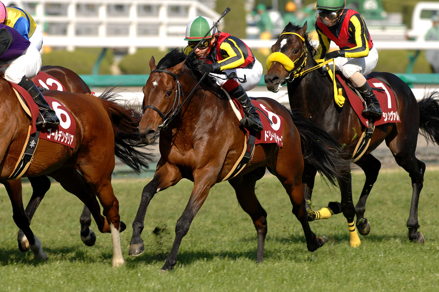 競馬】ドリームジャーニー（2009年産経大阪杯）額入りミニゼッケン