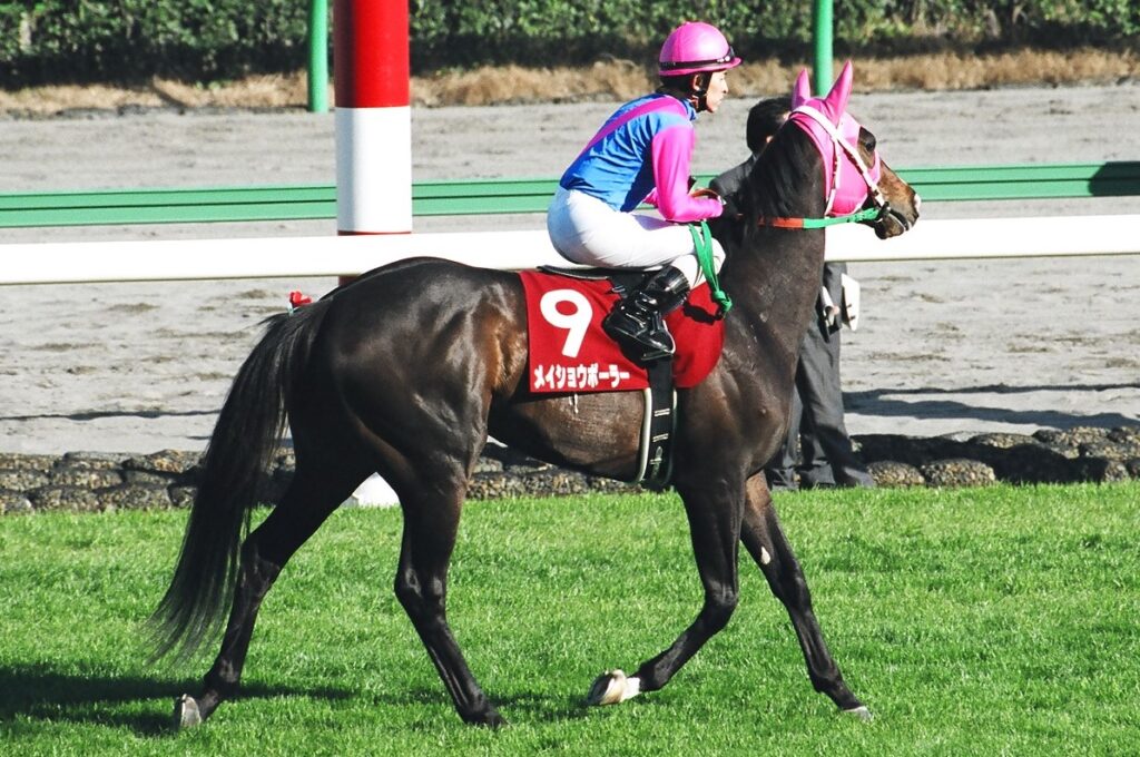 コスモバルクと見続けた「次への夢」。判官贔屓な私が目撃した