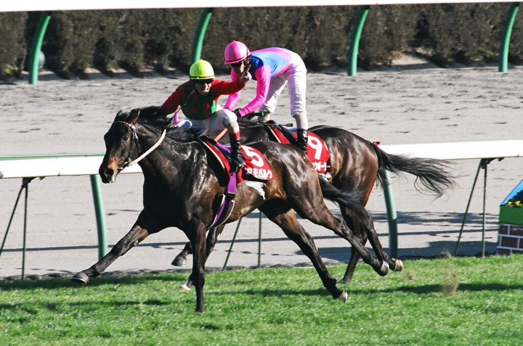 コスモバルクと見続けた「次への夢」。判官贔屓な私が目撃した