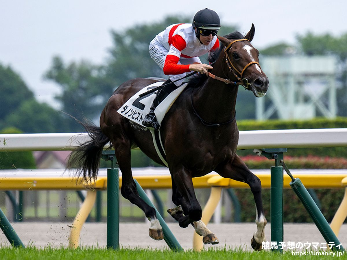 東京スポーツ杯2歳S2025】出走予定馬最速チェック クラシックを占う