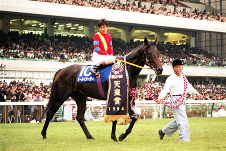 94天皇賞Vのネーハイシーザー死す｜競馬ニュース｜競馬予想のウマニティ