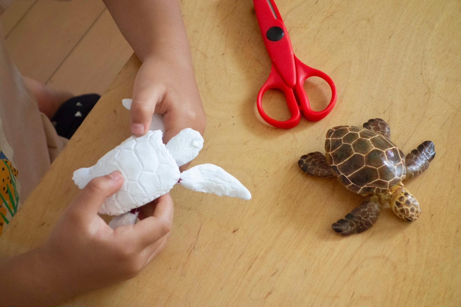 7月13日（土）】キミだけの「動くウミガメ」を作ろう！ | 茅ヶ崎公園