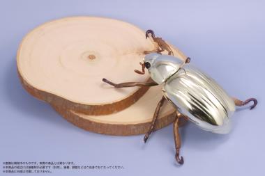 パナマ産オプティマプラチナコガネ