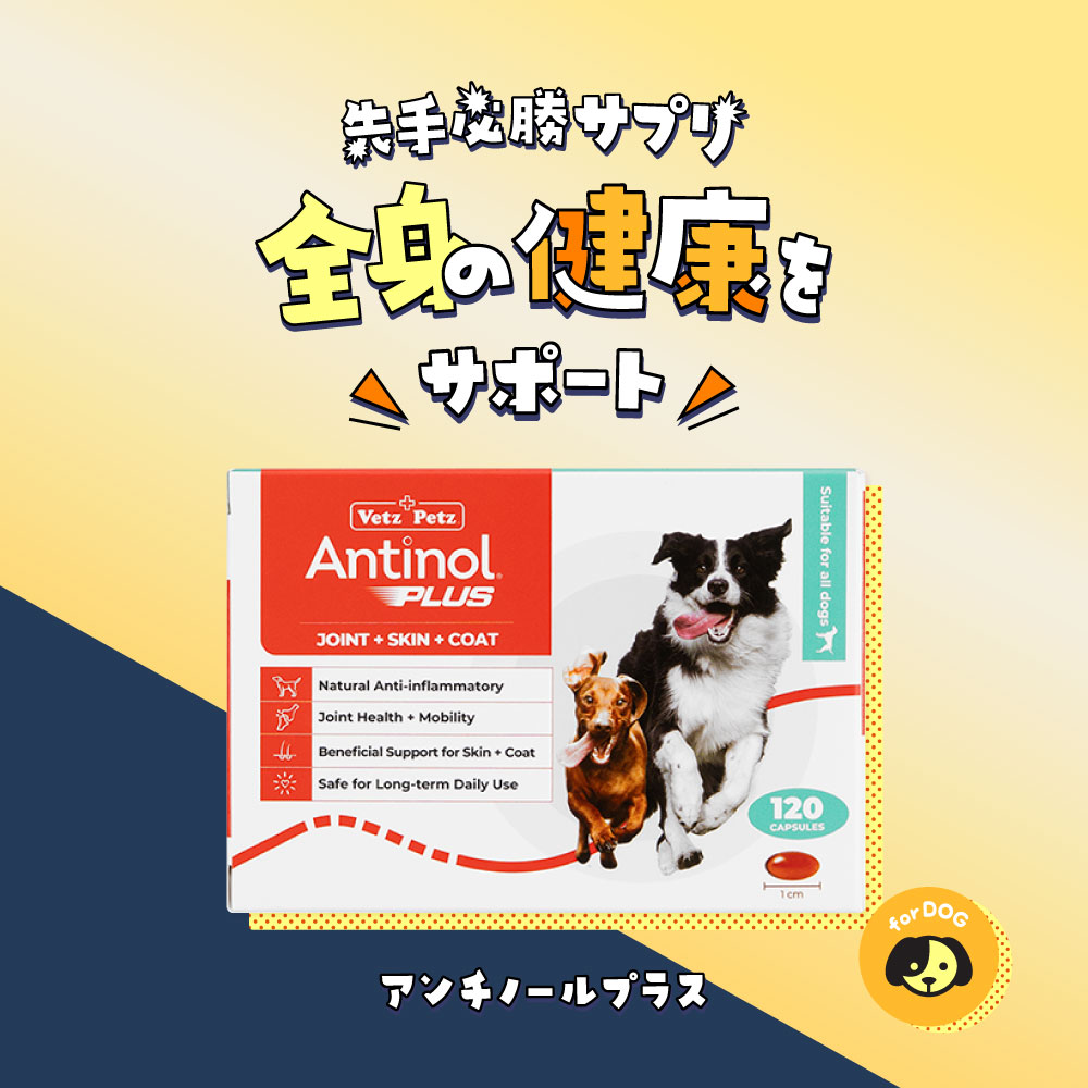 アンチノールプラス60カプセル通販｜サプリメント｜犬｜ペットのお薬