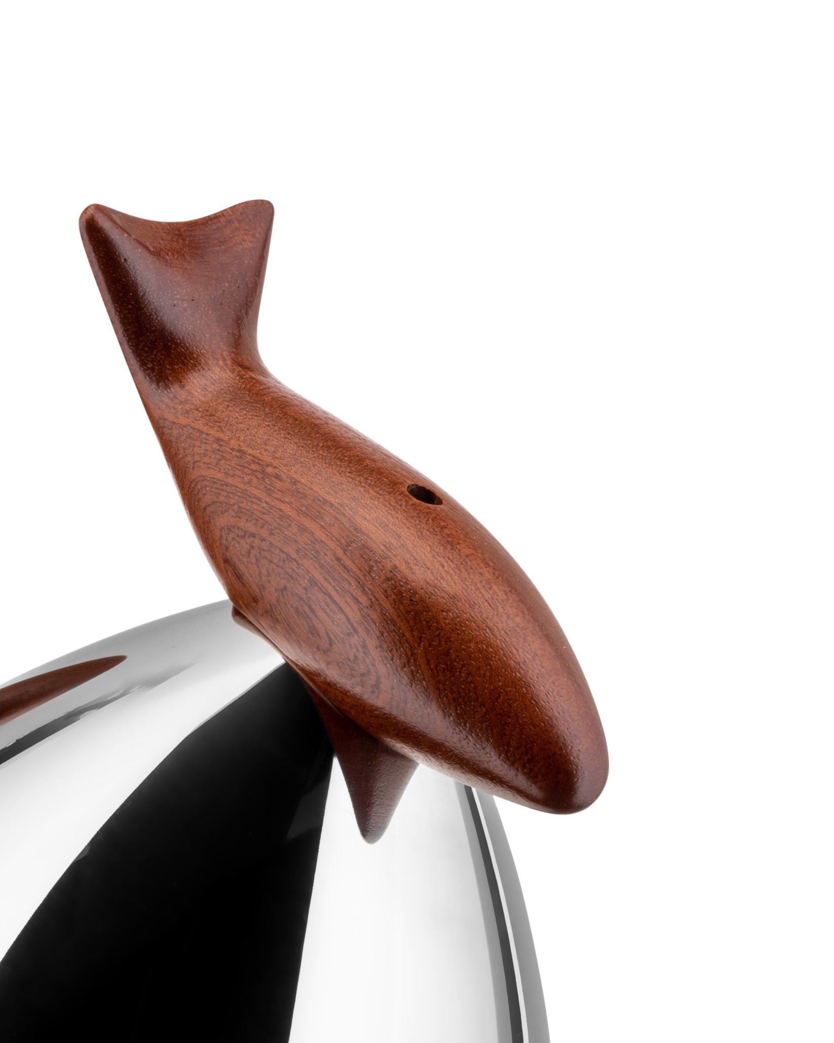 Pito Kettle In Stainless Steel Designed By Frank Gehry