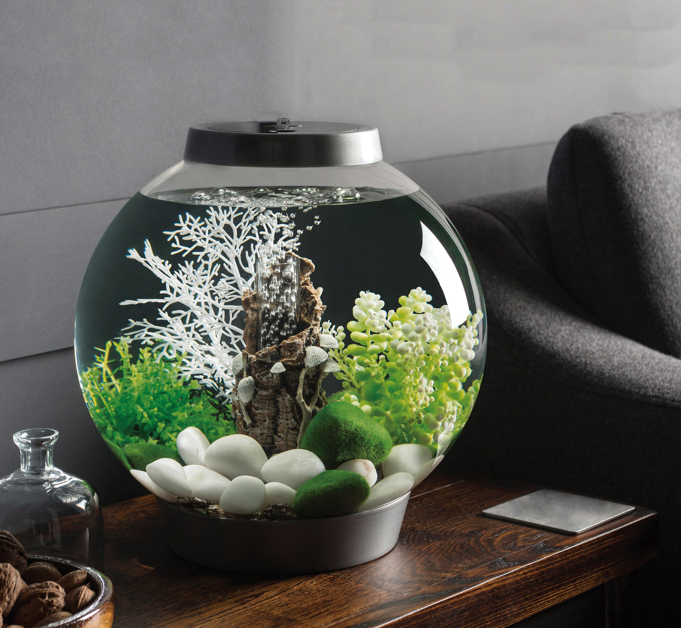 CLASSIC 15 Aquarium with Standard Light - 4 gallon – biOrb