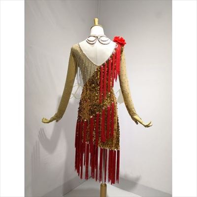 社交ダンス ラテンドレス garuda_5747