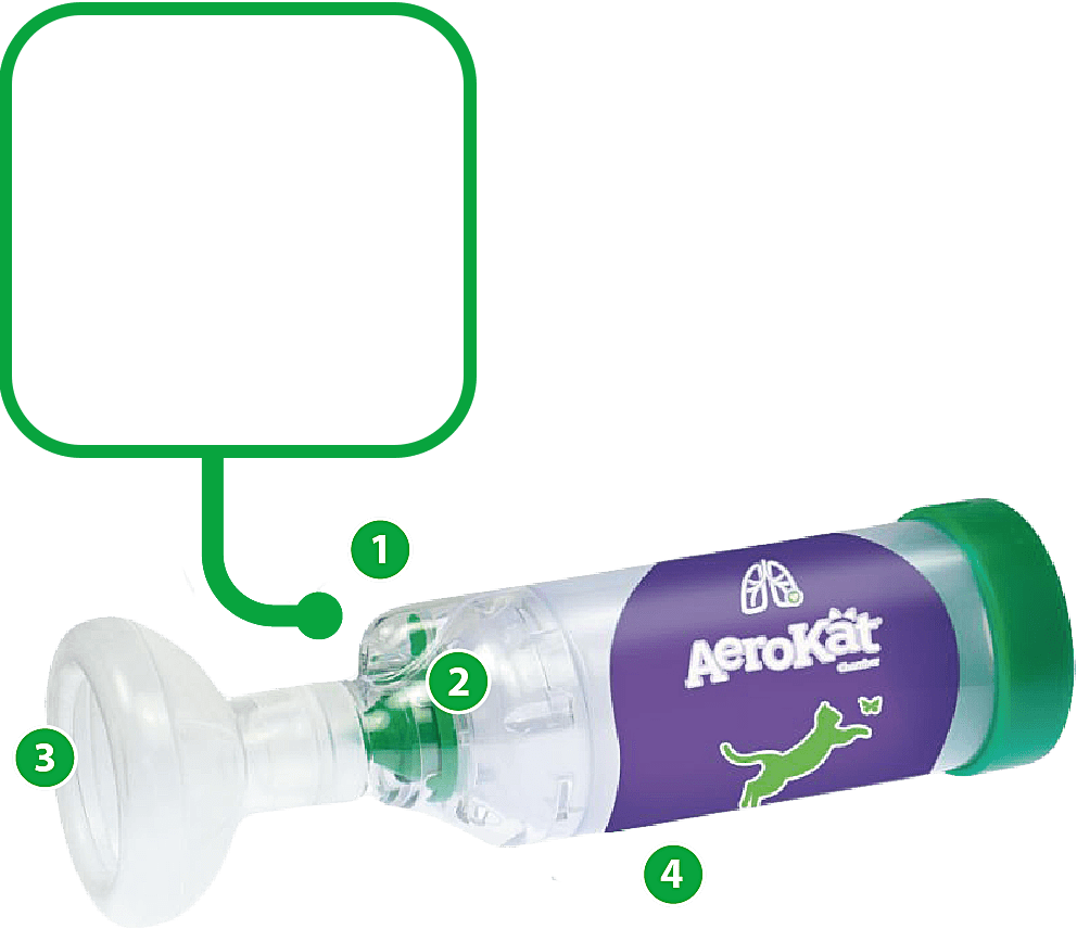 エアロキャット・エアロドッグ - 患部に直接薬剤を届け、安全な疾患管理を