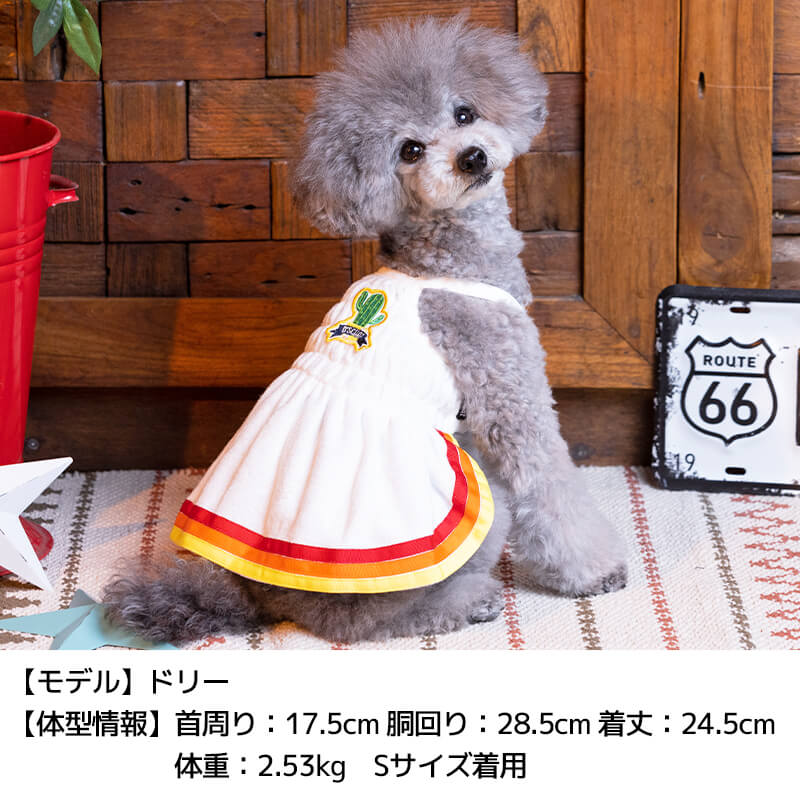 サボテンパイルキャミワンピ XS/S/M/L/XL D's Chat-ディーズチャット