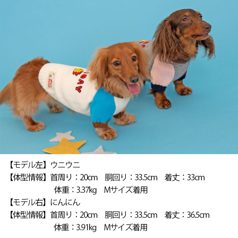 HOLIDAYセーター XS/S/M/L/XL D's Chat-ディーズチャット- 犬服 ドッグ