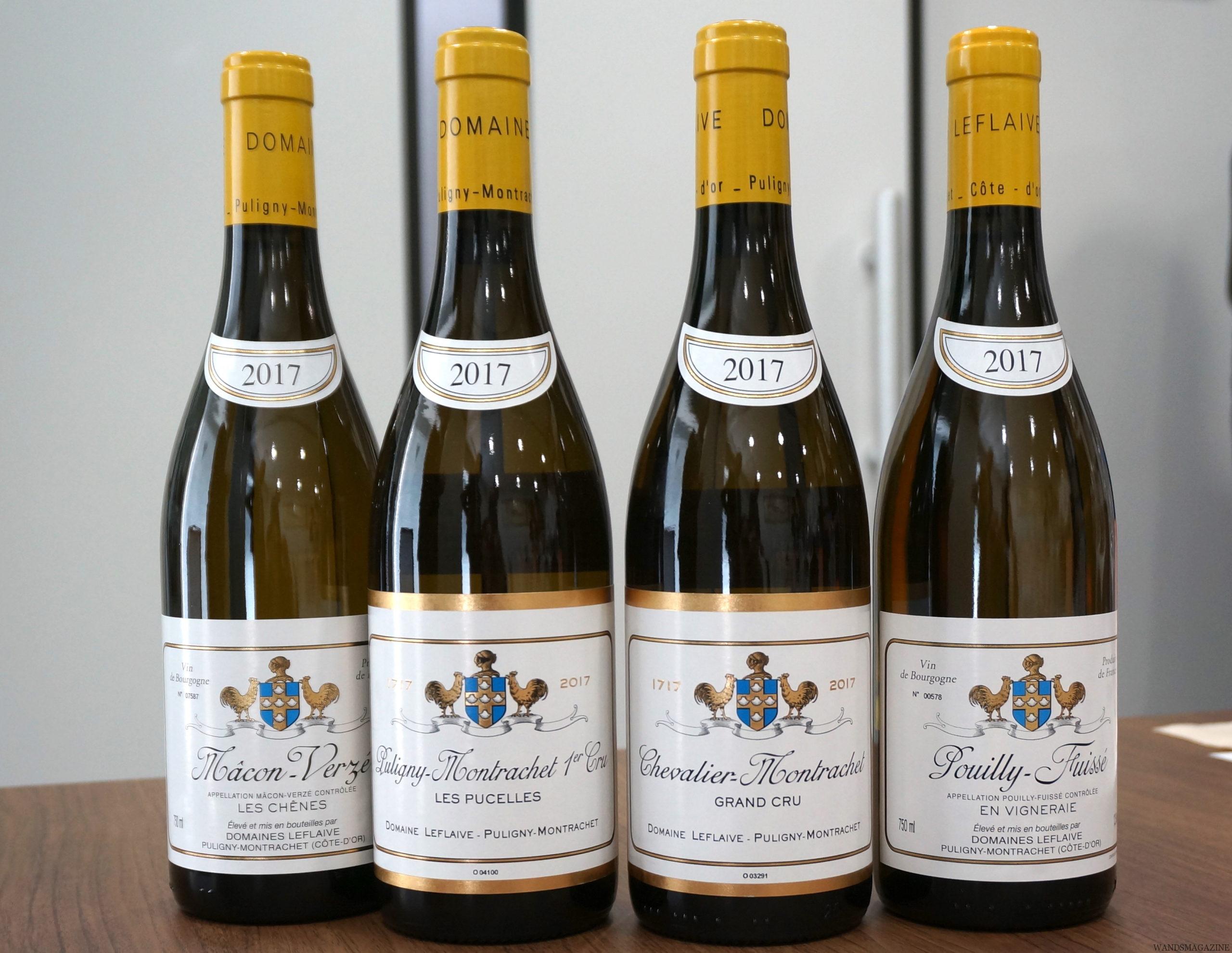 ドメーヌ・ルフレーヴ最新情報 byブリス・ド・ラ・モランディエール