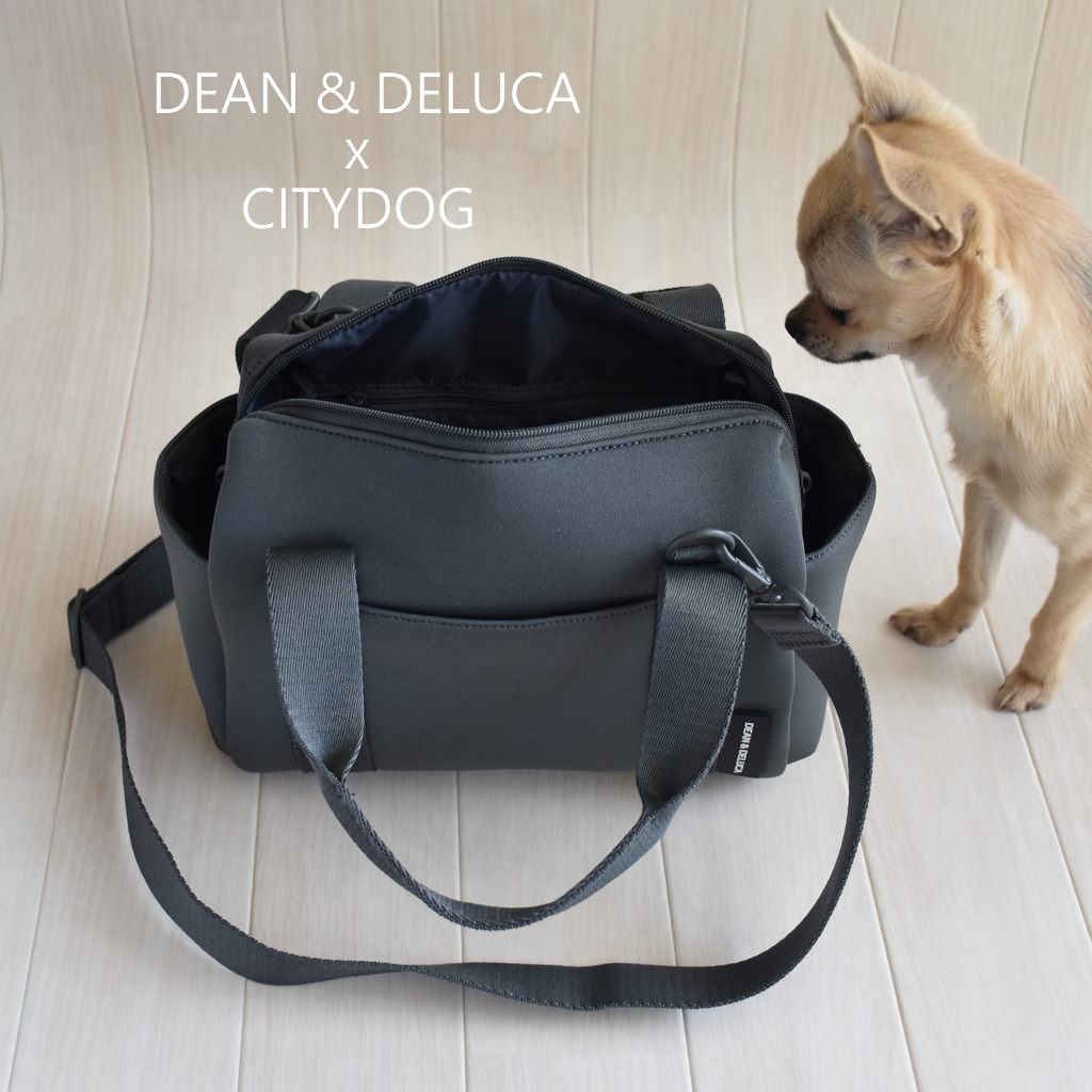 DEAN&DELUCA × CITYDOG】コラボお散歩バッグが届きました【ストロール