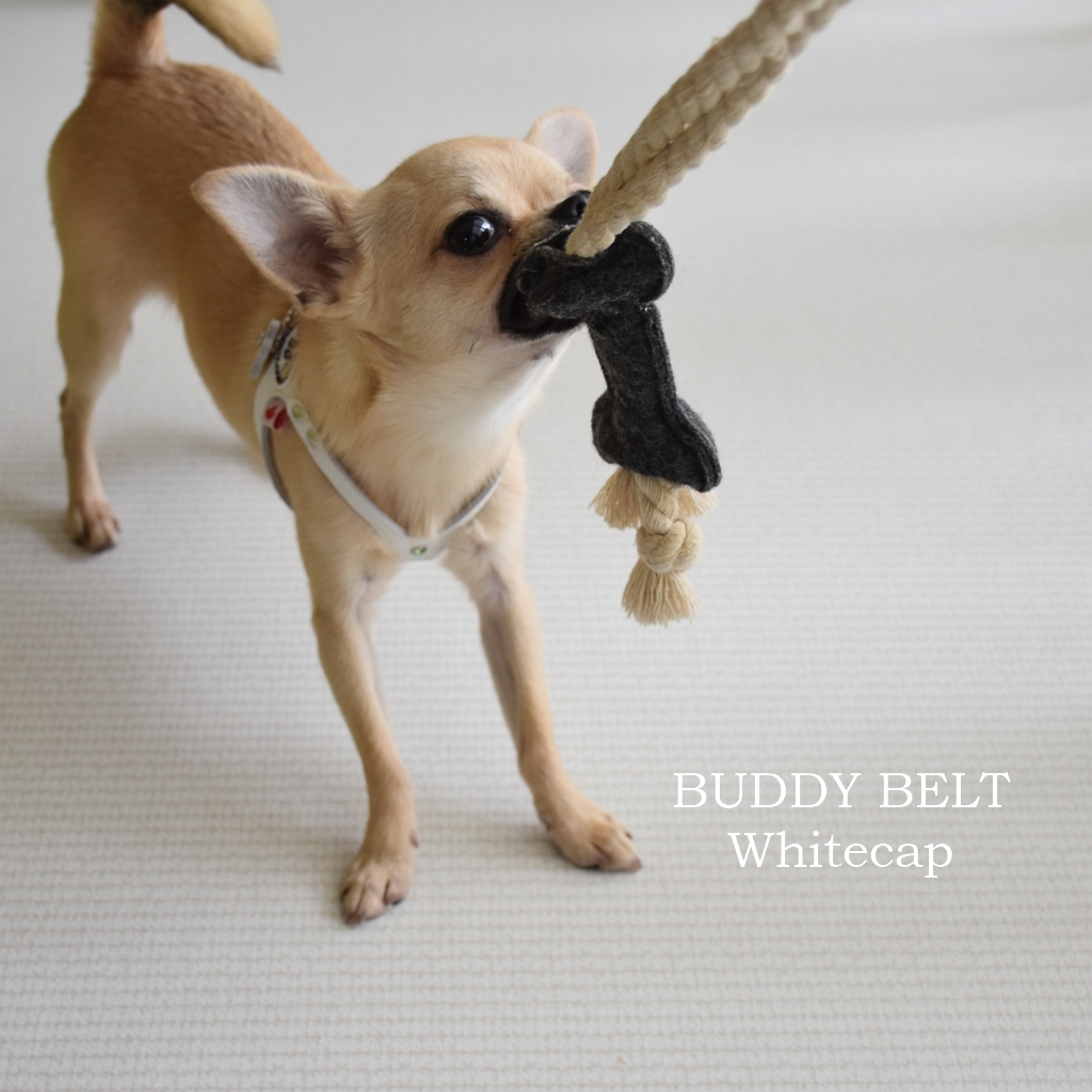 バディーベルト】ホワイトキャップ3号のカスタマイズと夏休みのお散歩
