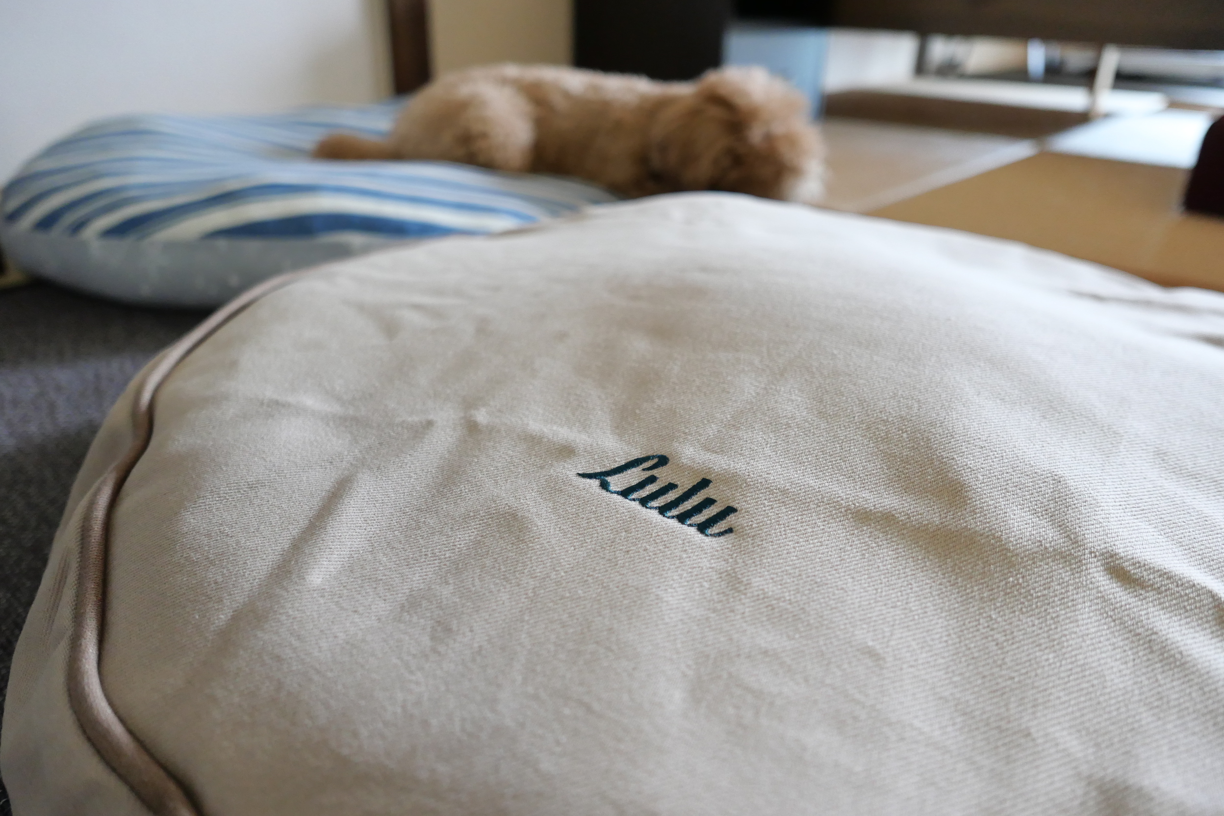 おしゃれなブランドドッグベッド「L.L.Bean」が欲しいけど、ニトリ