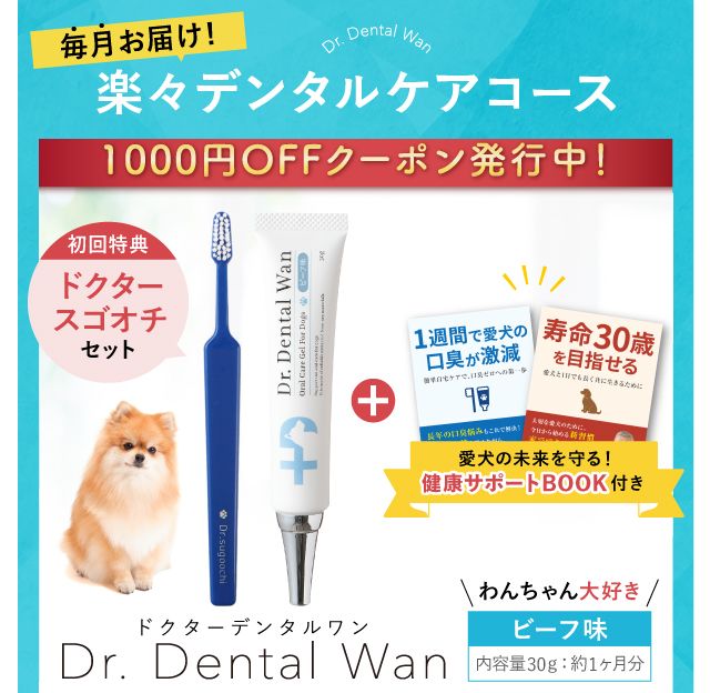 ドクターデンタルワン ビーフ味 犬用口腔ジェル（30㌘） ドクター