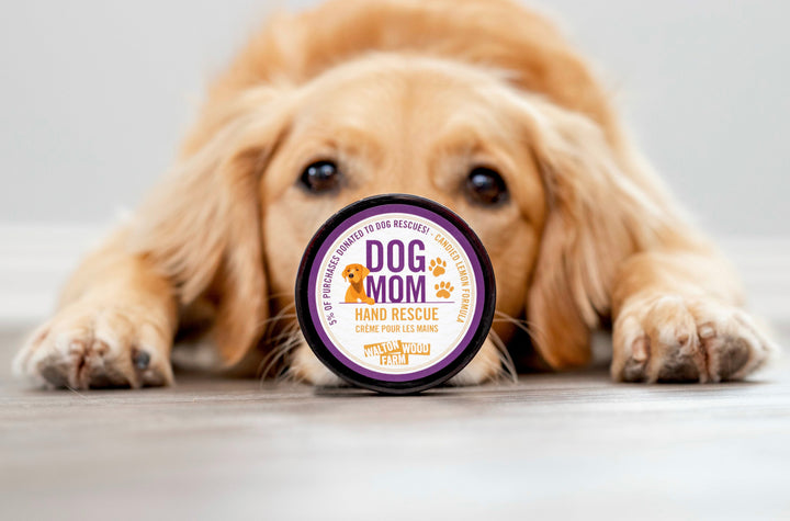 IMG_9847-2_720x.jpg?v=1757433110