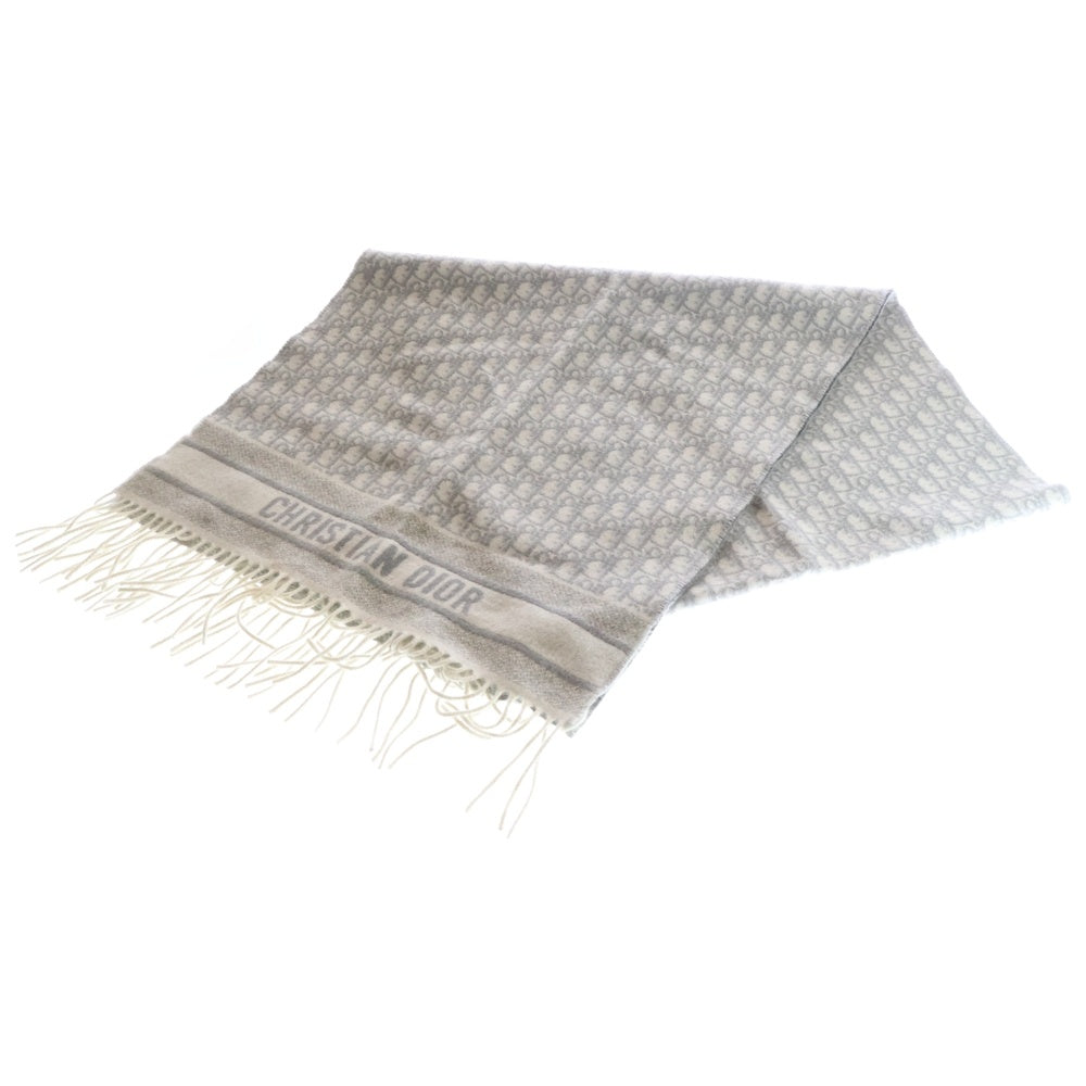 Christian Dior(クリスチャンディオール) オブリーク フリンジ