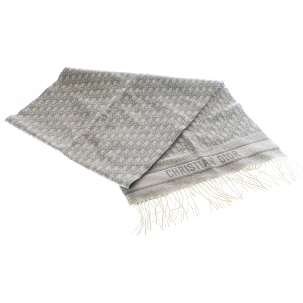 Christian Dior(クリスチャンディオール) オブリーク フリンジ