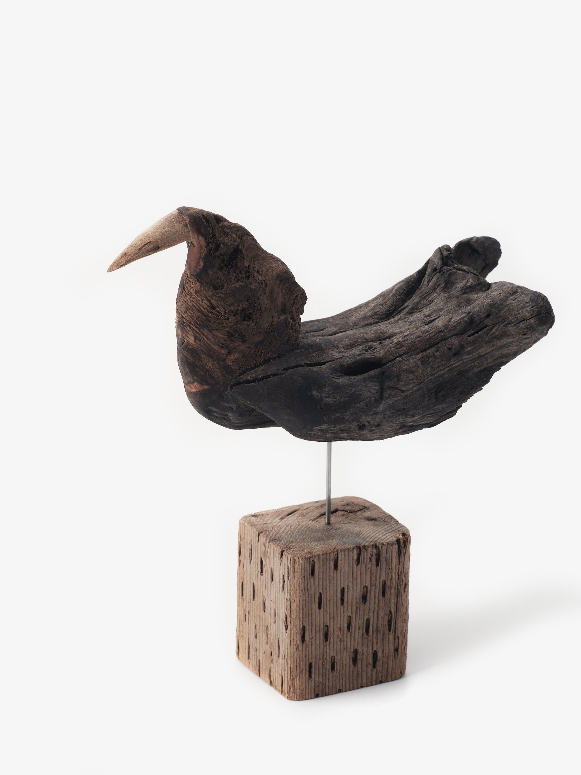 流木の鳥｜針原修