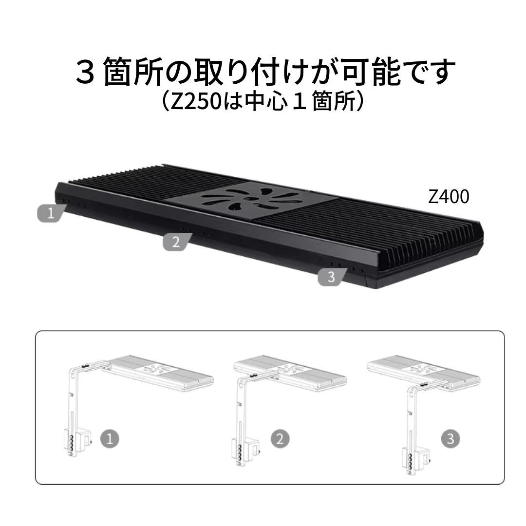 Z用スタンド – WEEK AQUA