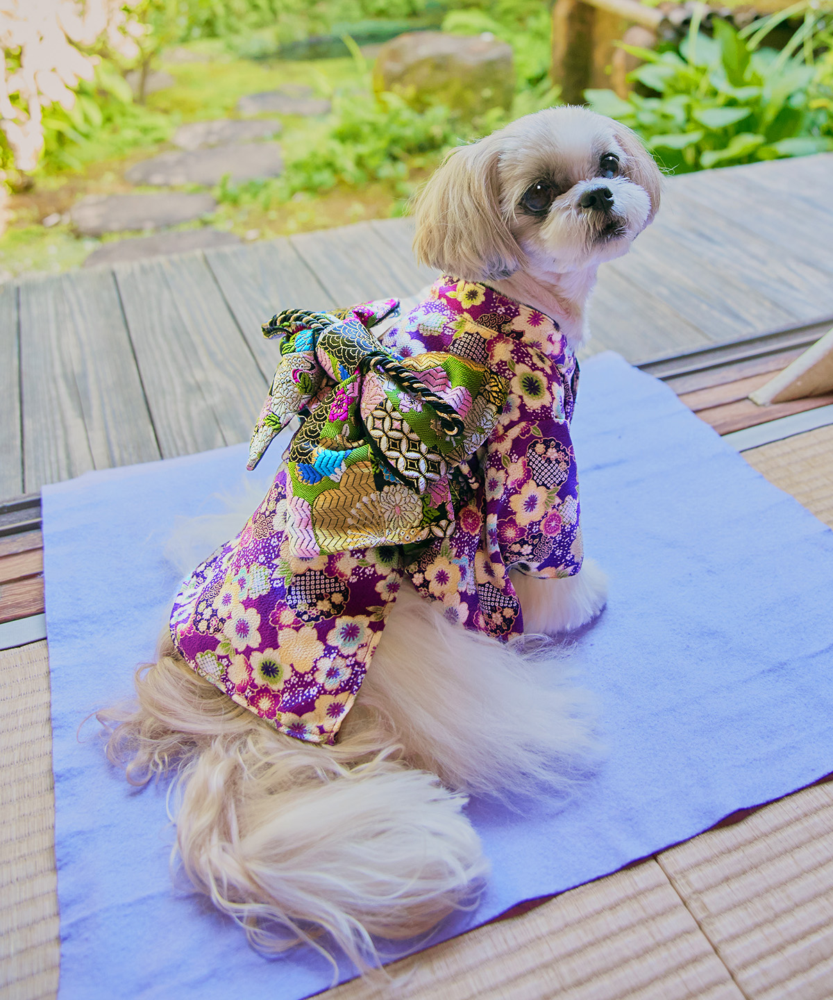 犬のお振袖 女の子の着物 犬と生活｜七五三、お正月や記念撮影に。小型