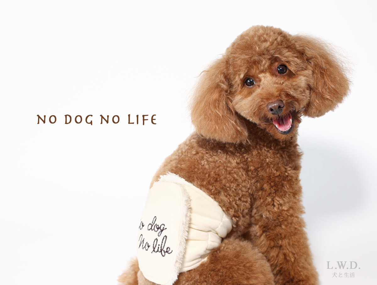 犬と生活 腹巻き nodognolife｜体を芯から温める ③NO DOG NO LIFE