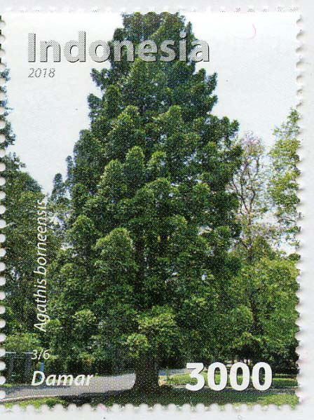 Indonesia インドネシア|切手に見る樹木|11-木とデザイン|木の情報発信基地