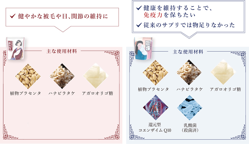 ちょこさん】【ウーリー】チカラのちから うさぎのチカラ - 株式会社