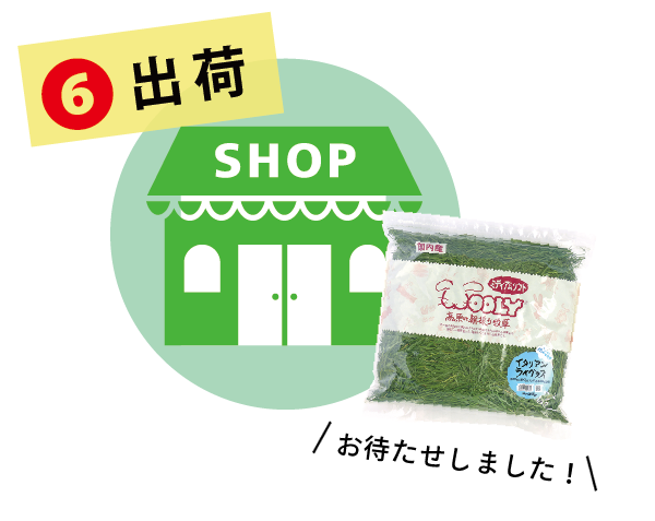 ティモシーヤング - 株式会社ウーリー｜うさぎの食彩工房