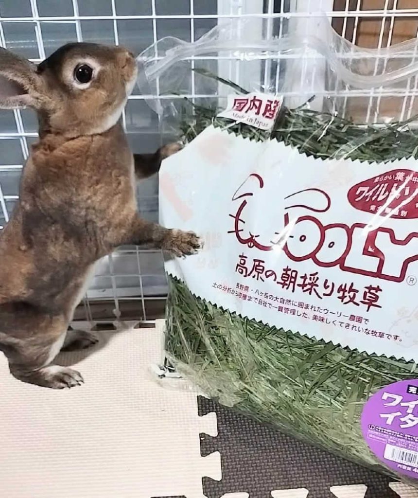 ぴろり うさぎ ウーリー農園 9袋 ぴろり様専用 うさぎ ウーリー農園 9袋