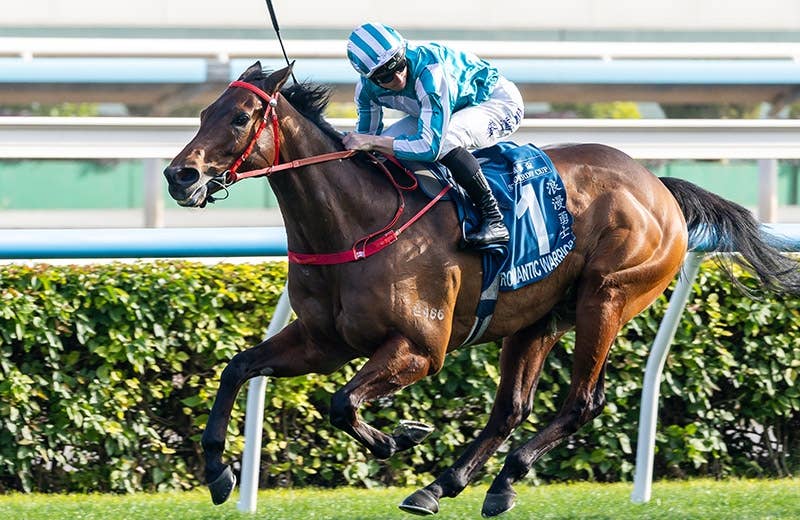 ロマンチックウォリアー（Romantic Warrior） | 競馬データベース