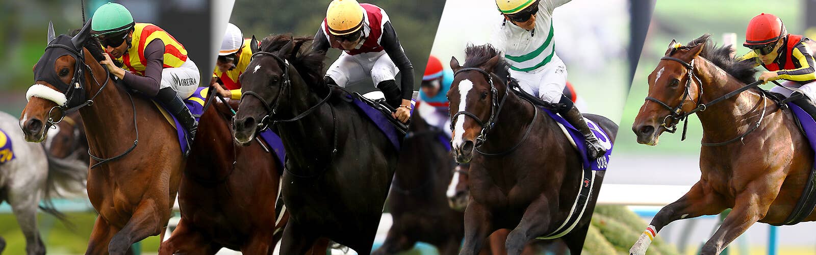 2024香港国際競走 | JRA-VAN World - 海外競馬情報サイト