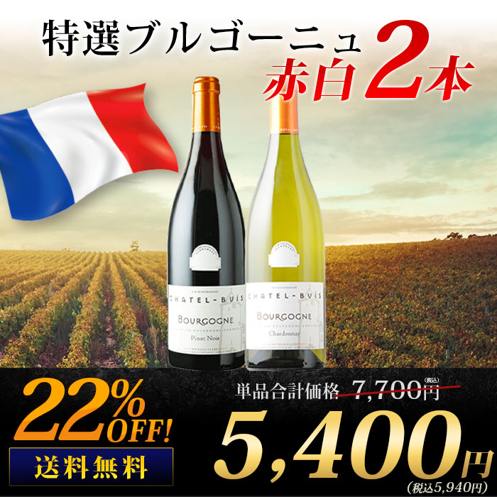 特選ブルゴーニュ赤白2本セット 送料無料 赤1本＆白1本 ワインセット