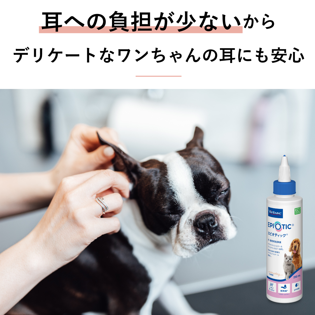 エピオティック®