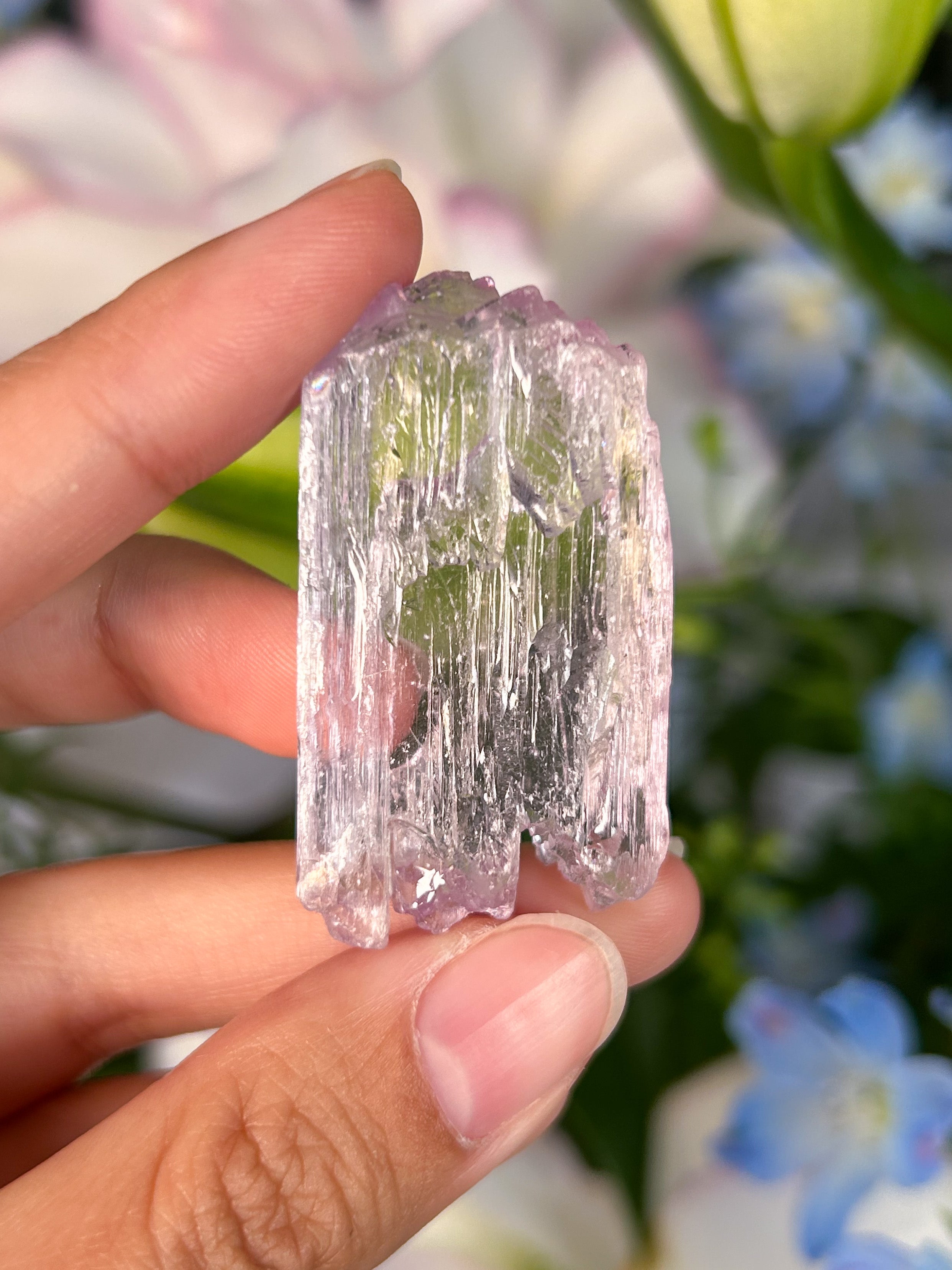 V字型にカットされたピンク色のクンツァイトクリスタル