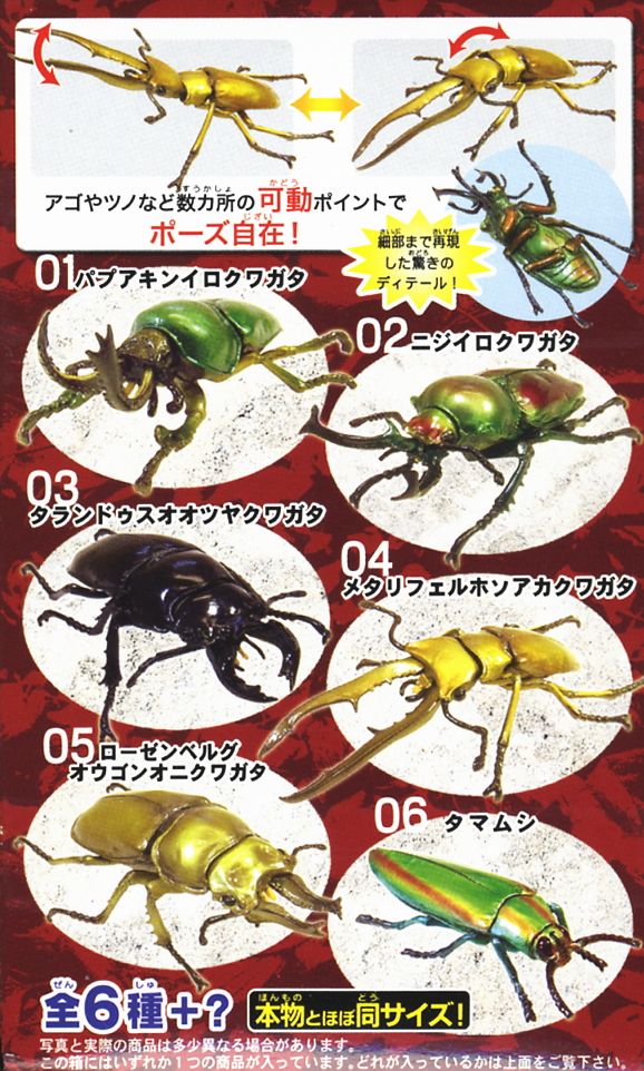 世界昆虫大百科 第3弾 きれいなクワガタ＆タマムシ 10個セット(食玩