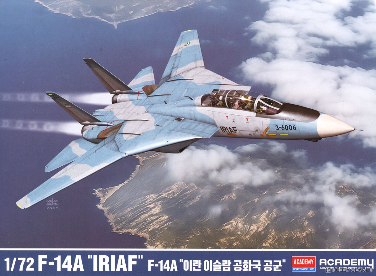 F-14A トムキャット `イラン・イスラム共和国空軍` (プラモデル