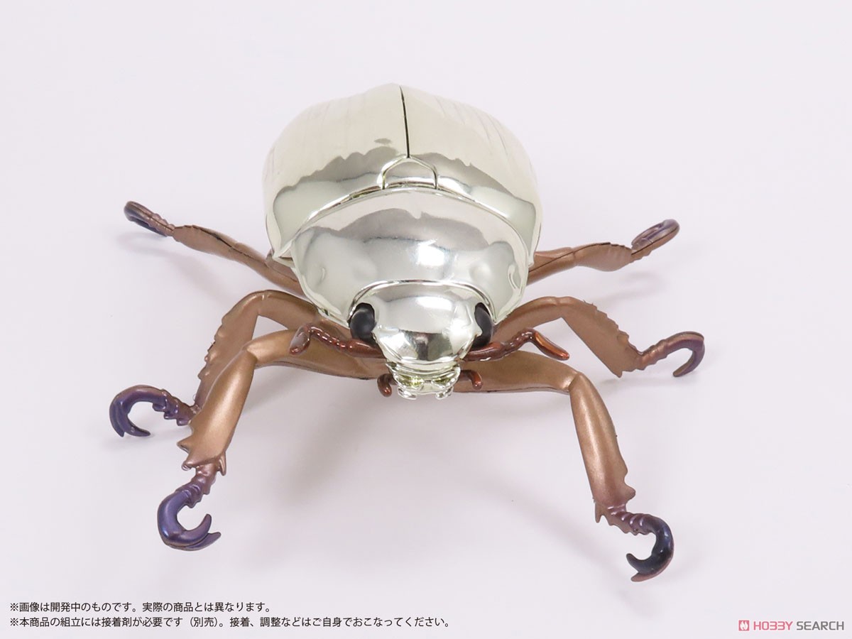 コスタリカ産 リンバータプラチナコガネ 22mm プラチナコガネ(リン