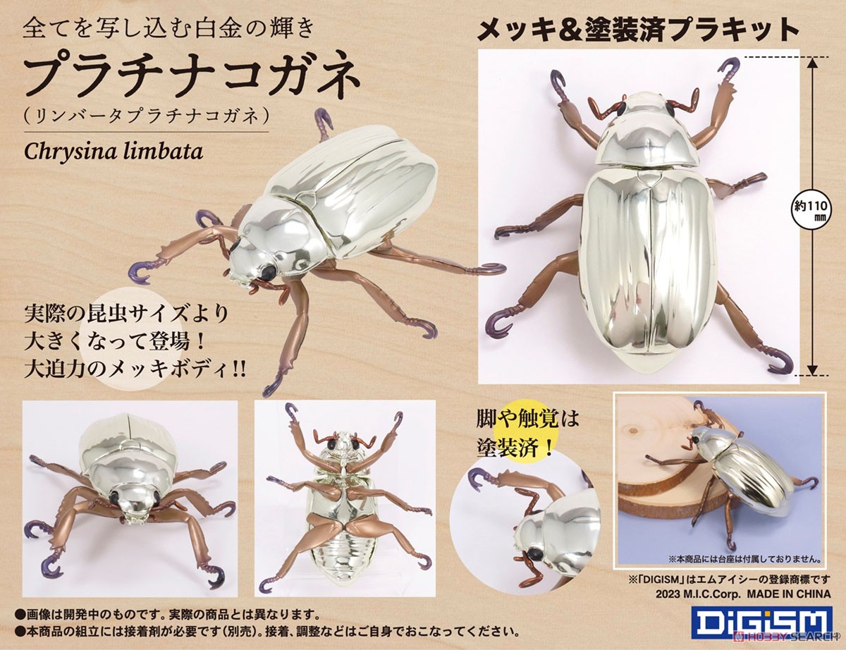 金と銀の豪華なプラチナコガネ②【標本】 昆虫用品 昆虫標本 プラチナ